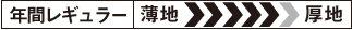 年間レギュラー
